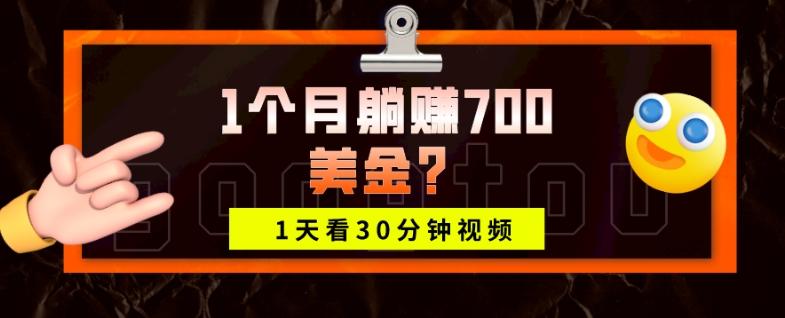 1天看30分钟视频，1个月躺赚700美金？-网创小站