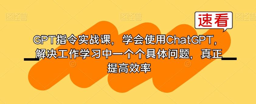 GPT指令实战课，学会使用ChatGPT，解决工作学习中一个个具体问题，真正提高效率-网创小站