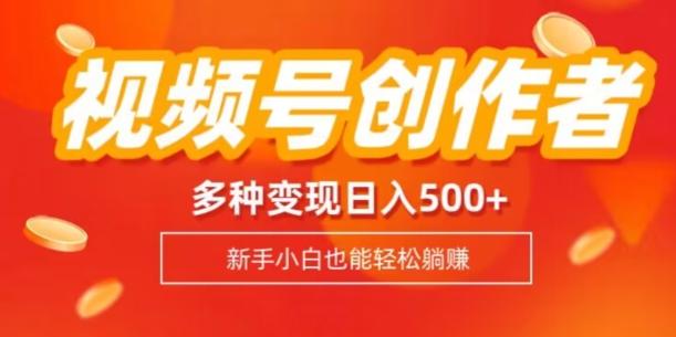 视频号创作者计划，多种变现方式，日入500+【内附1080g视频素材】-网创小站