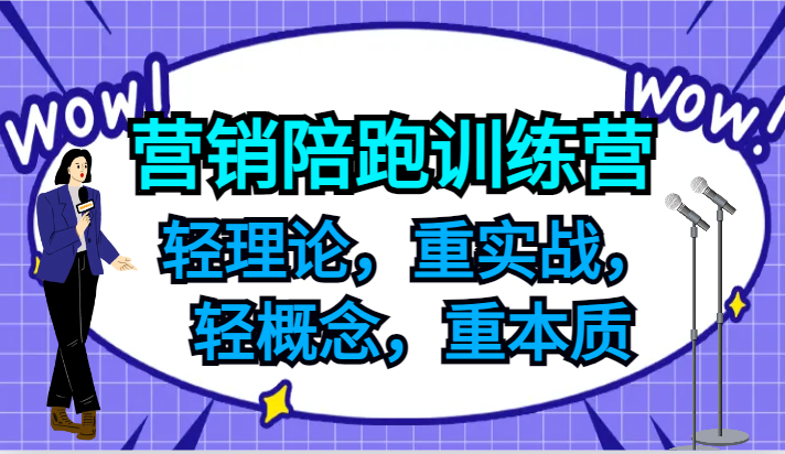 营销陪跑训练营，轻理论，重实战，轻概念，重本质，适合中小企业和初创企业的老板-网创小站
