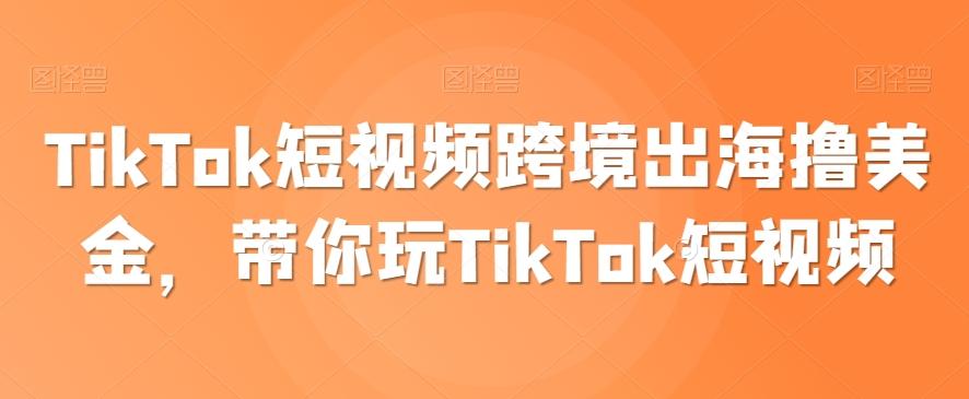 TikTok短视频跨境出海撸美金，带你玩TikTok短视频-网创小站