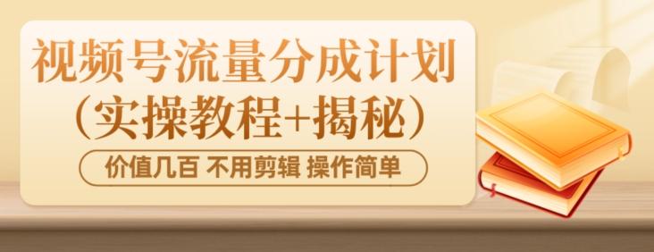 价值几百上千不用剪辑简单操作视频号流量分成计划（实操教程+揭秘）-网创小站