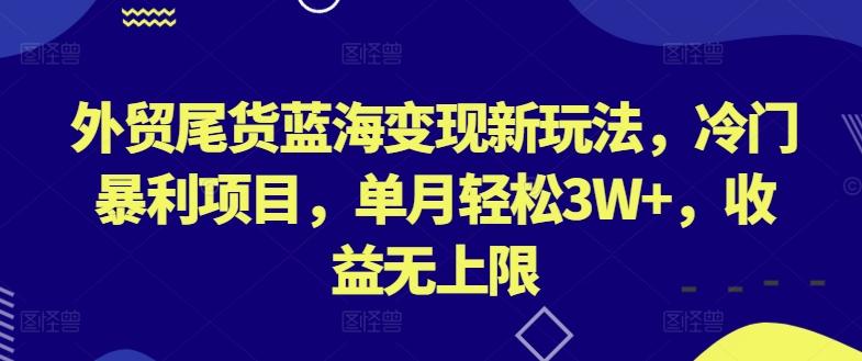 外贸尾货蓝海变现新玩法，冷门暴利项目，单月轻松3W+，收益无上限【揭秘】-网创小站