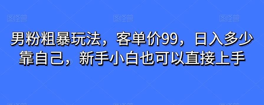 男粉粗暴玩法，客单价99，日入多少靠自己，新手小白也可以直接上手-网创小站