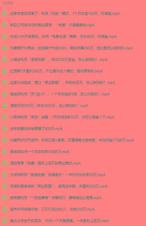 图片[5]-(9607期)真实有效391套商业模式，年入几十到几百万案例解析(电子书+视频+图文)-网创小站