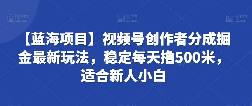 【蓝海项目】视频号创作者分成掘金最新玩法，稳定每天撸500米，适合新人小白【揭秘】-网创小站