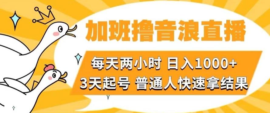 加班撸音浪直播，每天两小时，日入1000+，直播话术才3句，3天起号，普通人快速拿结果【揭秘】-网创小站