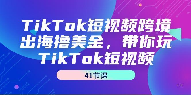TikTok短视频跨境出海撸美金，带你玩TikTok短视频(41节课)-网创小站