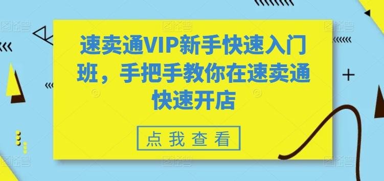 速卖通VIP新手快速入门班，手把手教你在速卖通快速开店-网创小站