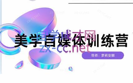 安娜·美学自媒体IP系统课-网创小站