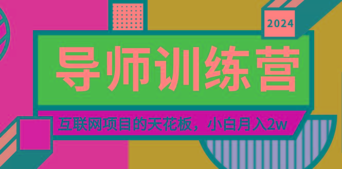 《导师训练营》精准粉丝引流的天花板，小白月入2w-网创小站