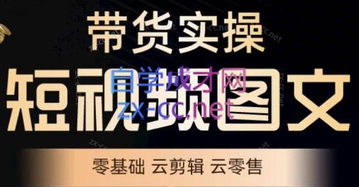 鑫哥·2024零基础短视频带货实操营-网创小站