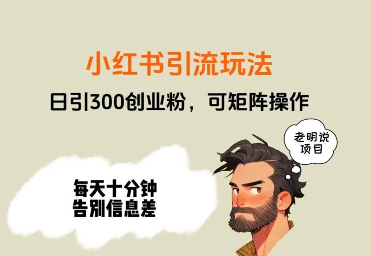靠小红书视频日印300粉，两分钟一个视频轻松矩阵-网创小站