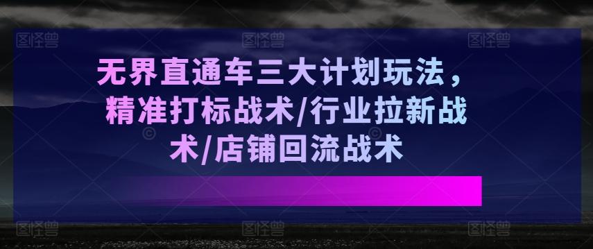 无界直通车三大计划玩法，精准打标战术/行业拉新战术/店铺回流战术-网创小站