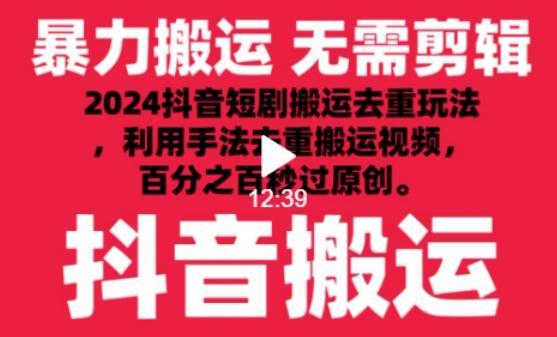 2024最新抖音搬运技术，抖音短剧视频去重，手法搬运，利用工具去重，达到秒过原创的效果【揭秘】-网创小站