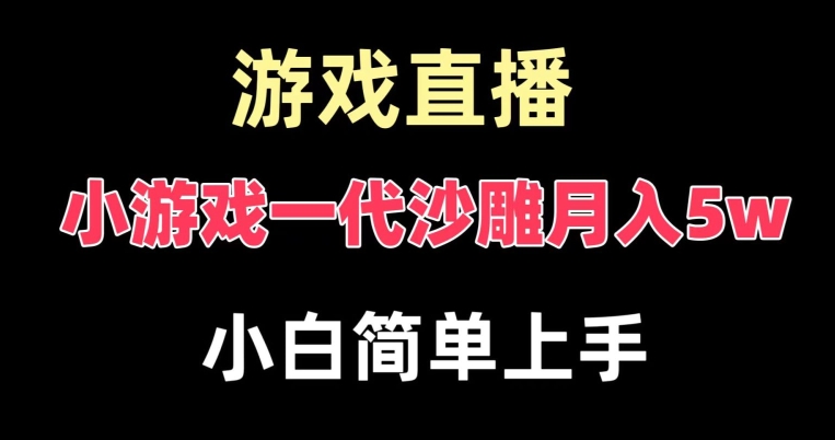 玩小游戏一代沙雕月入5w，爆裂变现，快速拿结果，高级保姆式教学【揭秘】-网创小站