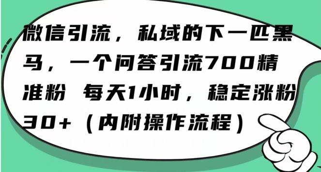 怎么搞精准创业粉？微信新赛道，每天一小时，利用Ai一个问答日引100精准粉-网创小站