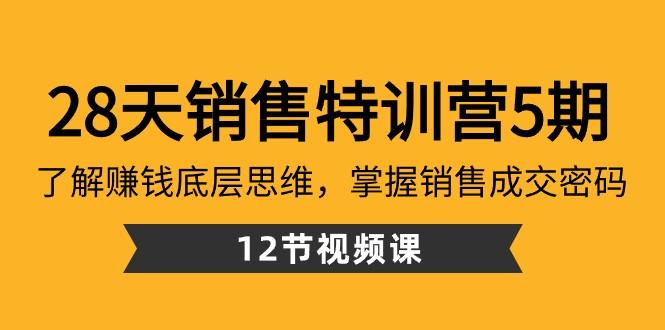 28天销售特训营5期：了解赚钱底层思维，掌握销售成交密码（12节课）-网创小站