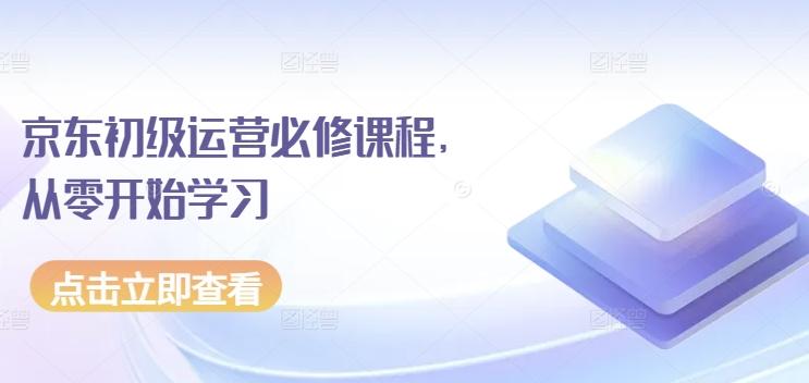 京东初级运营必修课程，从零开始学习-网创小站