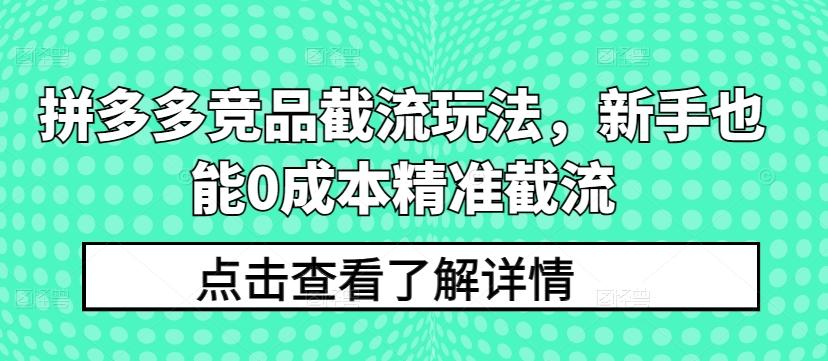 拼多多竞品截流玩法，新手也能0成本精准截流-网创小站