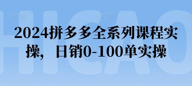 2024拼多多全系列课程实操，日销0-100单实操【必看】-网创小站