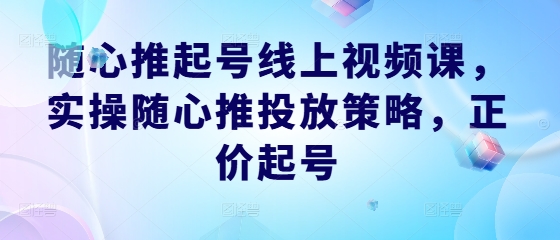 随心推起号线上视频课，实操随心推投放策略，正价起号-网创小站