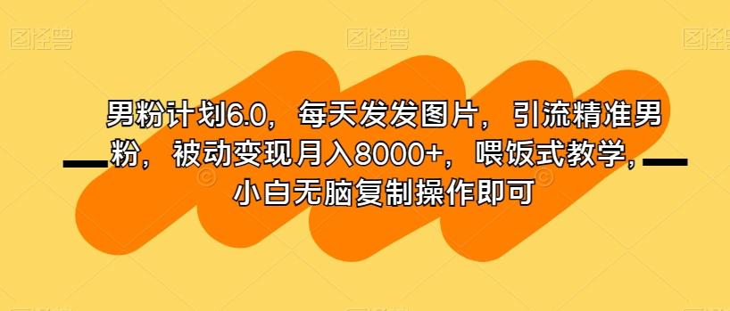 男粉计划6.0，每天发发图片，引流精准男粉，被动变现月入8000+，喂饭式教学，小白无脑复制操作即可-网创小站