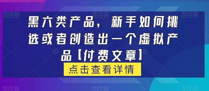黑六类虚拟产品，新手如何挑选或者创造出一个虚拟产品【付费文章】-网创小站