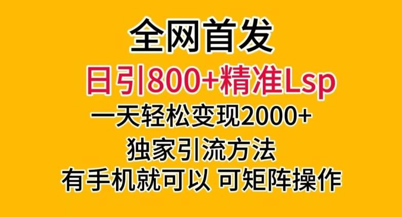 全网首发！日引800+精准老色批，一天变现2000+，独家引流方法，可矩阵操作【揭秘】-网创小站