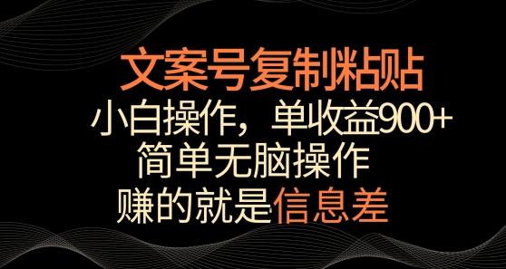 文案号掘金，简单复制粘贴，小白操作，单作品收益900+【揭秘】-网创小站