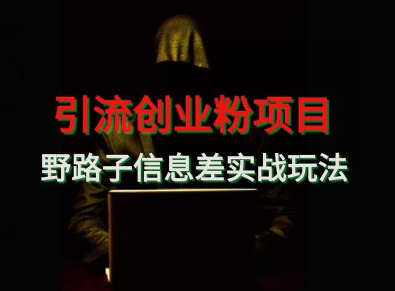【引流创业粉】野路子信息差玩法实战教学-网创小站