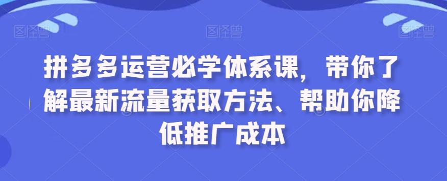拼多多运营必学体系课，带你了解最新流量获取方法、帮助你降低推广成本-网创小站