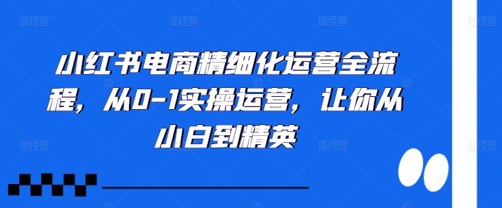 小红书电商精细化运营全流程，从0-1实操运营，让你从小白到精英-网创小站