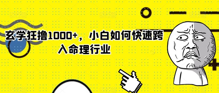 玄学狂撸1000+，小白如何快速跨入命理行业-网创小站
