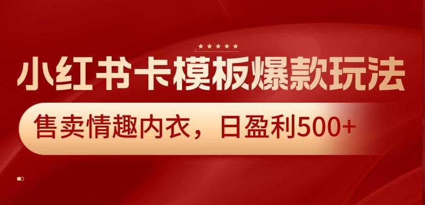 小红书卡模板爆款玩法，售卖情趣内衣，日盈利500+【揭秘】-网创小站
