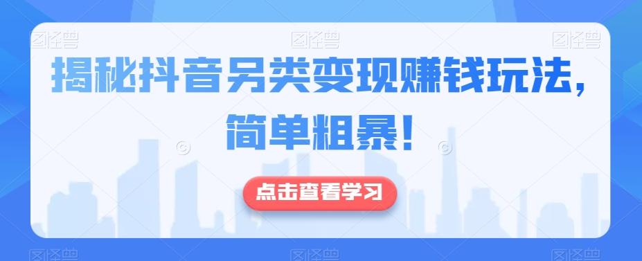 揭秘抖音另类变现赚钱玩法，简单粗暴！-网创小站