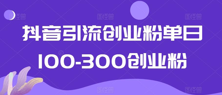 抖音引流创业粉单日100-300创业粉【揭秘】-网创小站