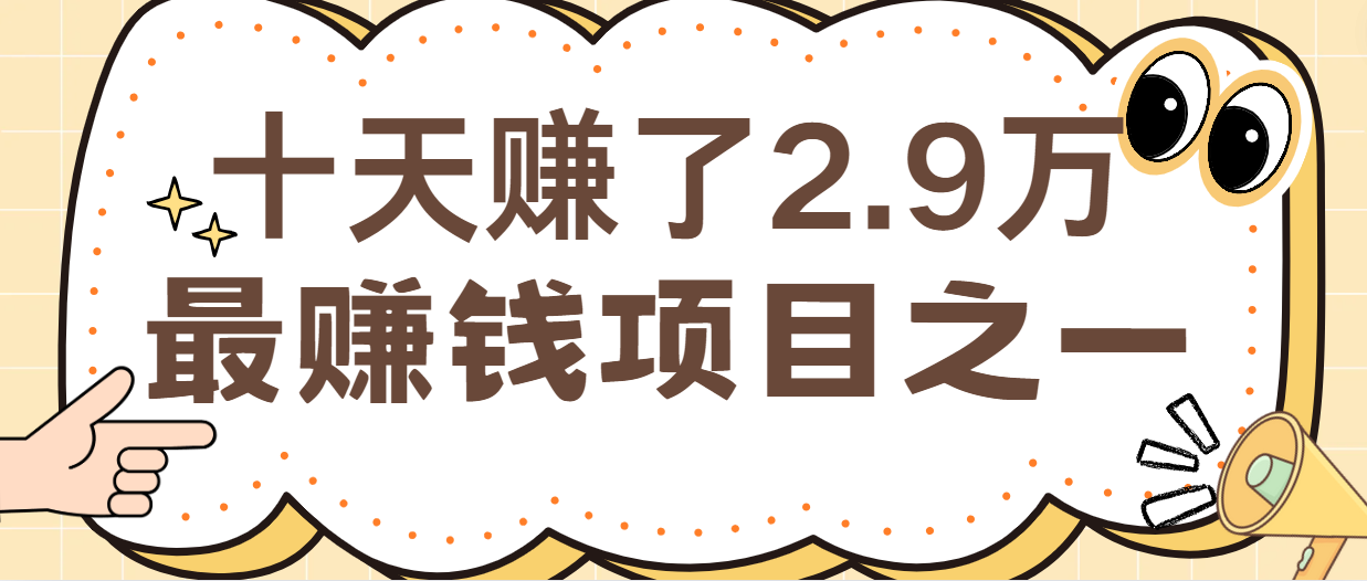 闲鱼小红书最赚钱项目之一，纯手机操作简单，小白必学轻松月入6万+-网创小站