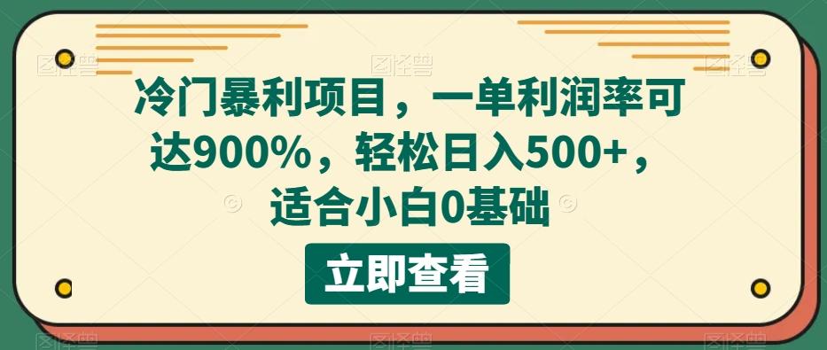 冷门暴利项目，一单利润率可达900%，轻松日入500+，适合小白0基础-网创小站
