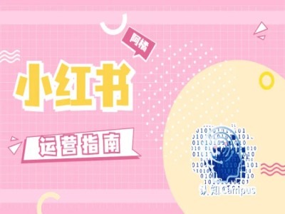 小红书运营指南，没有套路，全是经验-网创小站
