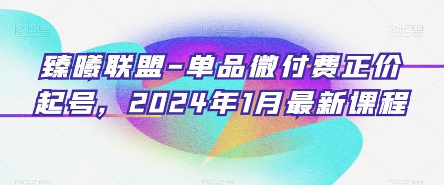 臻曦联盟-单品微付费正价起号，2024年1月最新课程-网创小站