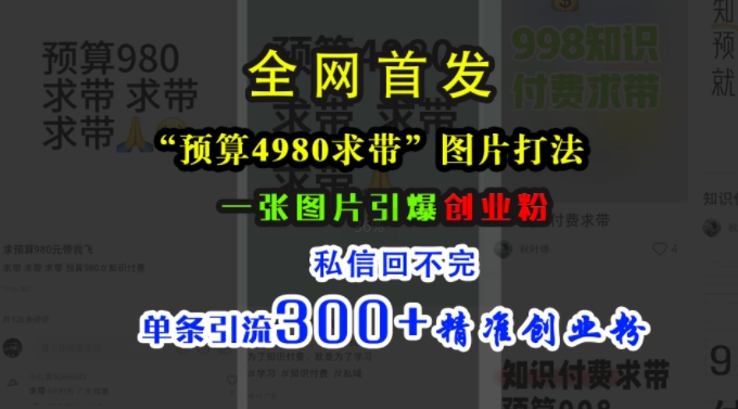 小红书“预算4980带我飞”图片打法，一张图片引爆创业粉，私信回不完，单条引流300+精准创业粉-网创小站