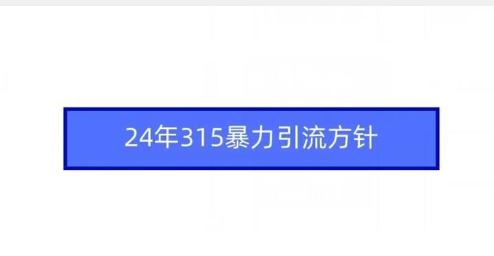 24年315暴力引流方针-网创小站