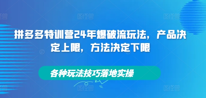 拼多多特训营24年爆破流玩法，产品决定上限，方法决定下限，各种玩法技巧落地实操-网创小站