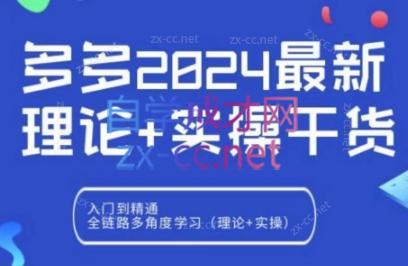 拼多多2024最新规则理论结合实际的干货-网创小站