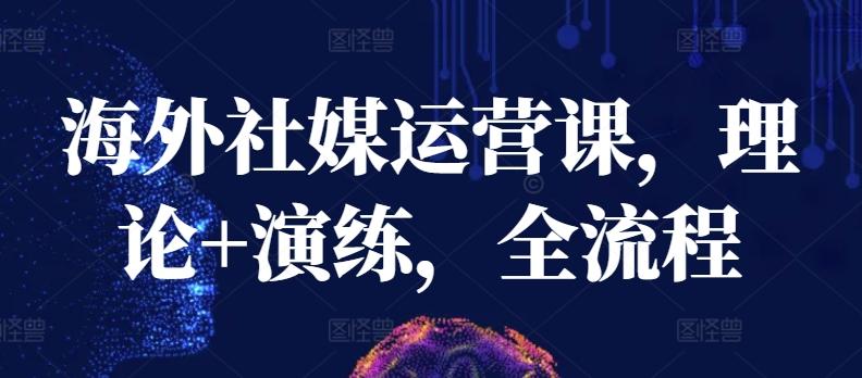 海外社媒运营课，理论+演练，全流程-网创小站