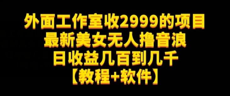外面工作室收2999的项目最新美女无人撸音浪日收益几百到几千【教程+软件】（仅揭秘）-网创小站