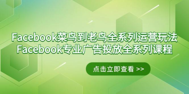 Facebook-菜鸟到老鸟全系列运营玩法+Facebook-专业广告投放全系列课程-网创小站
