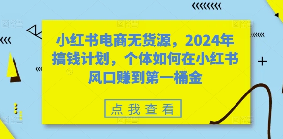 小红书电商无货源，2024年搞钱计划，个体如何在小红书风口赚到第一桶金-网创小站