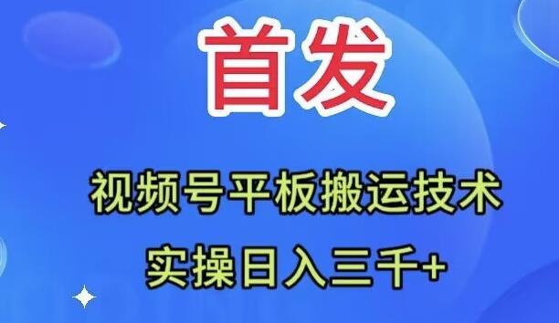全网首发：视频号平板搬运技术，实操日入三千＋-网创小站